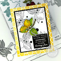 Tutti Frutti Impress-ion Dies All Occasion Card