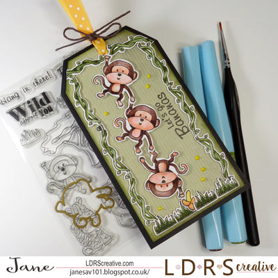 Monkeying Around!