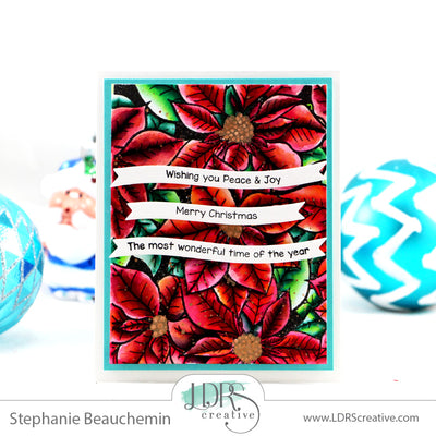 Poinsettia for peace and joy