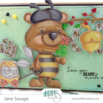 Bee a Bear!