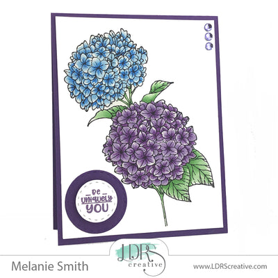 Hydrangeas
