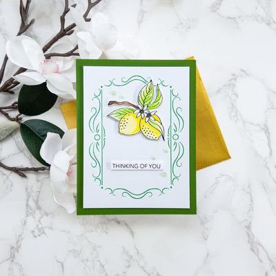 Elegant Rectangle Frame Impress-ion Press + Foil Plate