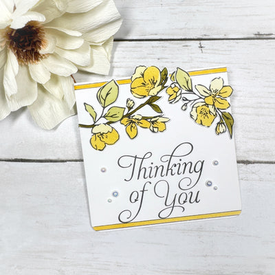 All Occasions Sentiment Impress-ion Press + Foil Plates Bundle