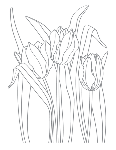 Spring Impress-ion Press + Foil Plates Bundle