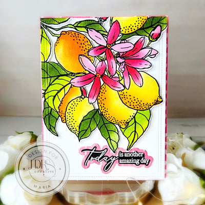 Fruit Tree Product Suite