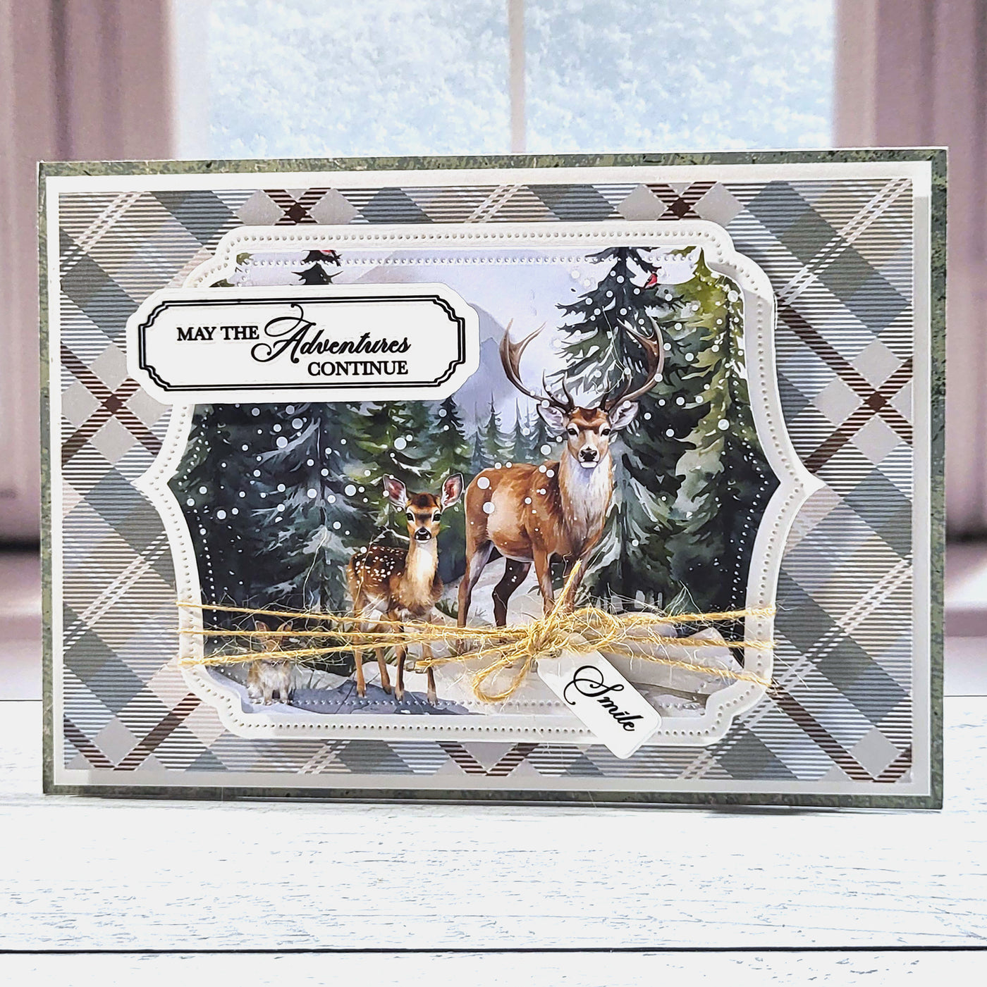 Wildwood Sentiment Frame & Tag Dies