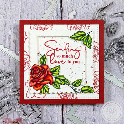 Trailing Hummingbird Coordinating Dies