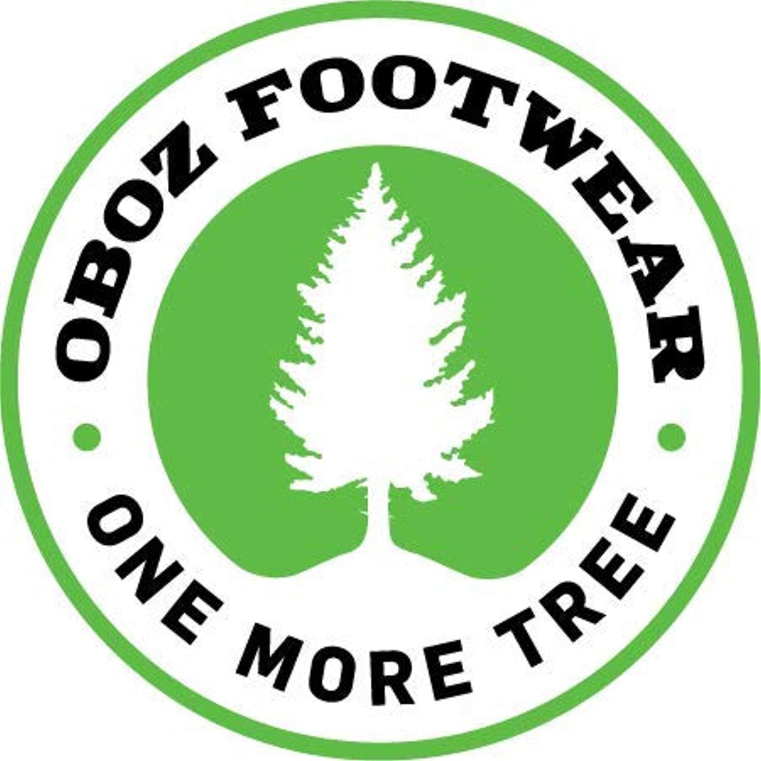 Oboz Sapphire Low B-Dry Hiking Shoe - Women&S Boysenberry / NEJNOOTA_NGGJD