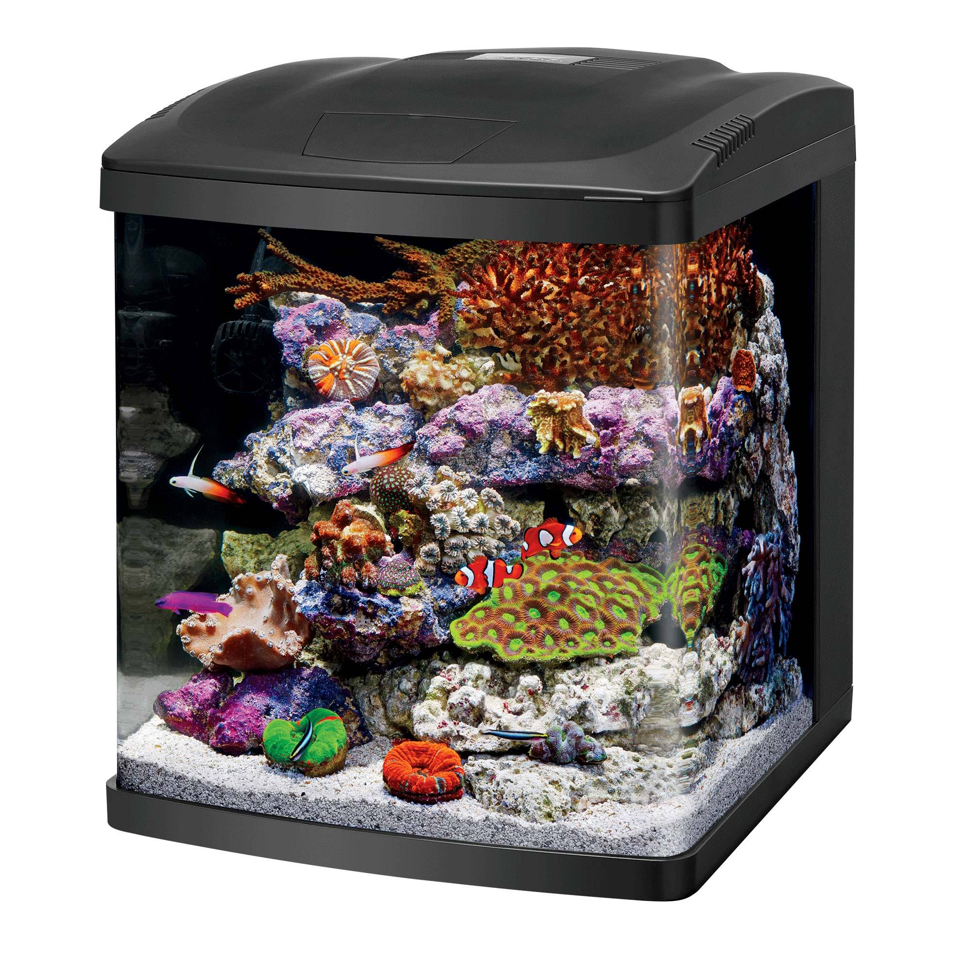 Coralife Led Biocube 16 Aquarium Kit - 1KJCUOPE_BLBC4