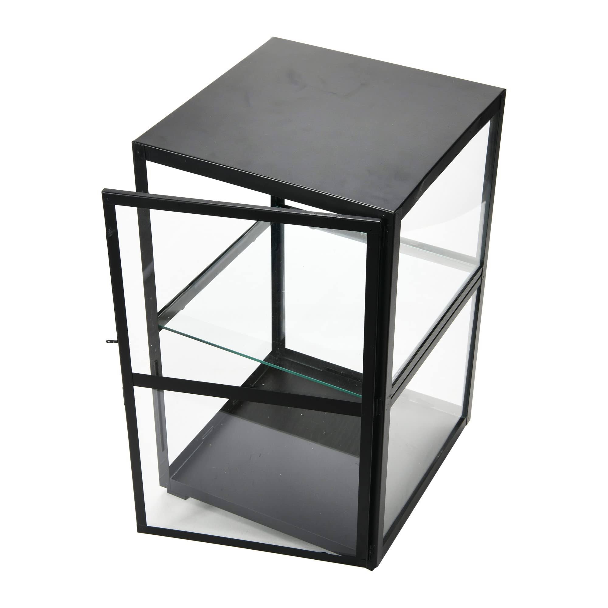 Creative Co-Op Metal & Glass Display 1 Shelf Black A3AZGTFE_U7RWM