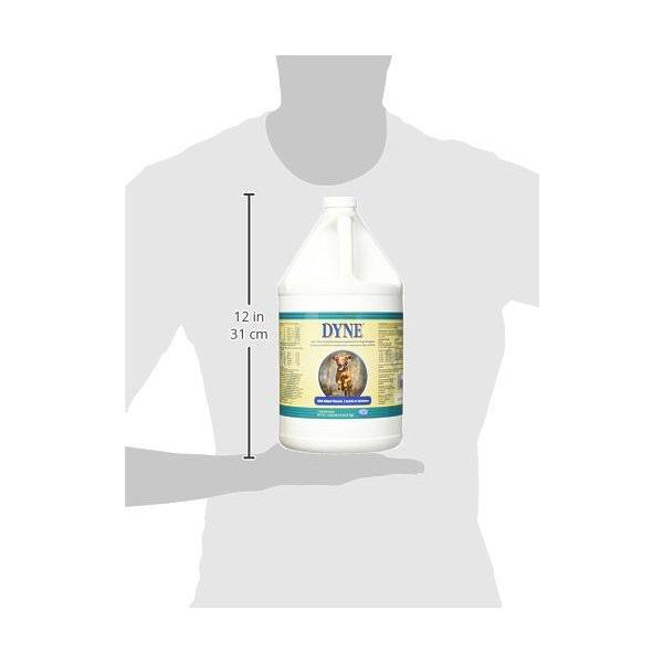 Dyne High Calorie Supplement For CJ6XSNGK_YFZ47