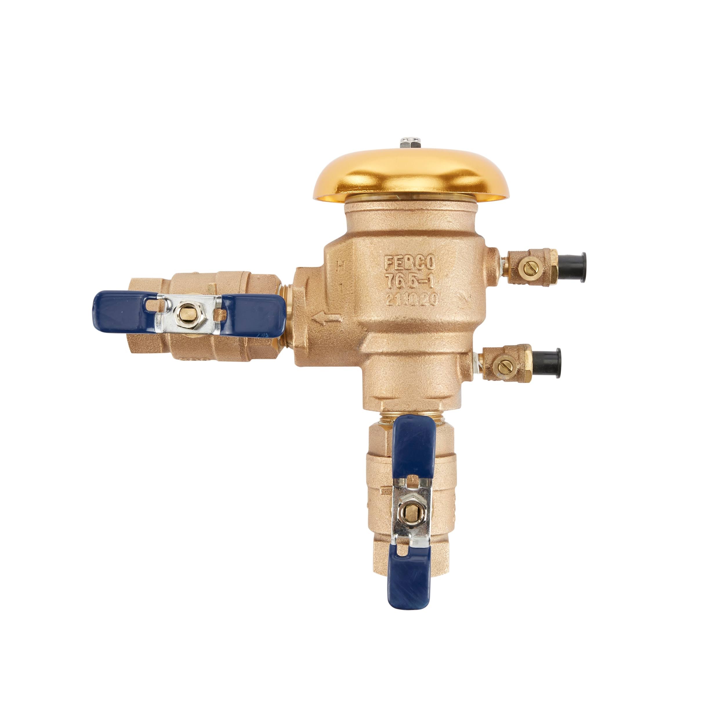Febco 765 1 In. Pressure Vacuum D2RO6EQK_JJB7B