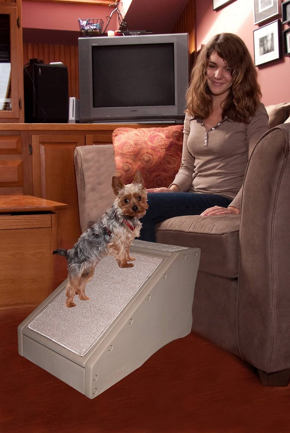 Pet Gear Step And Ramp Combination, PSEEA9QY_AD4FO