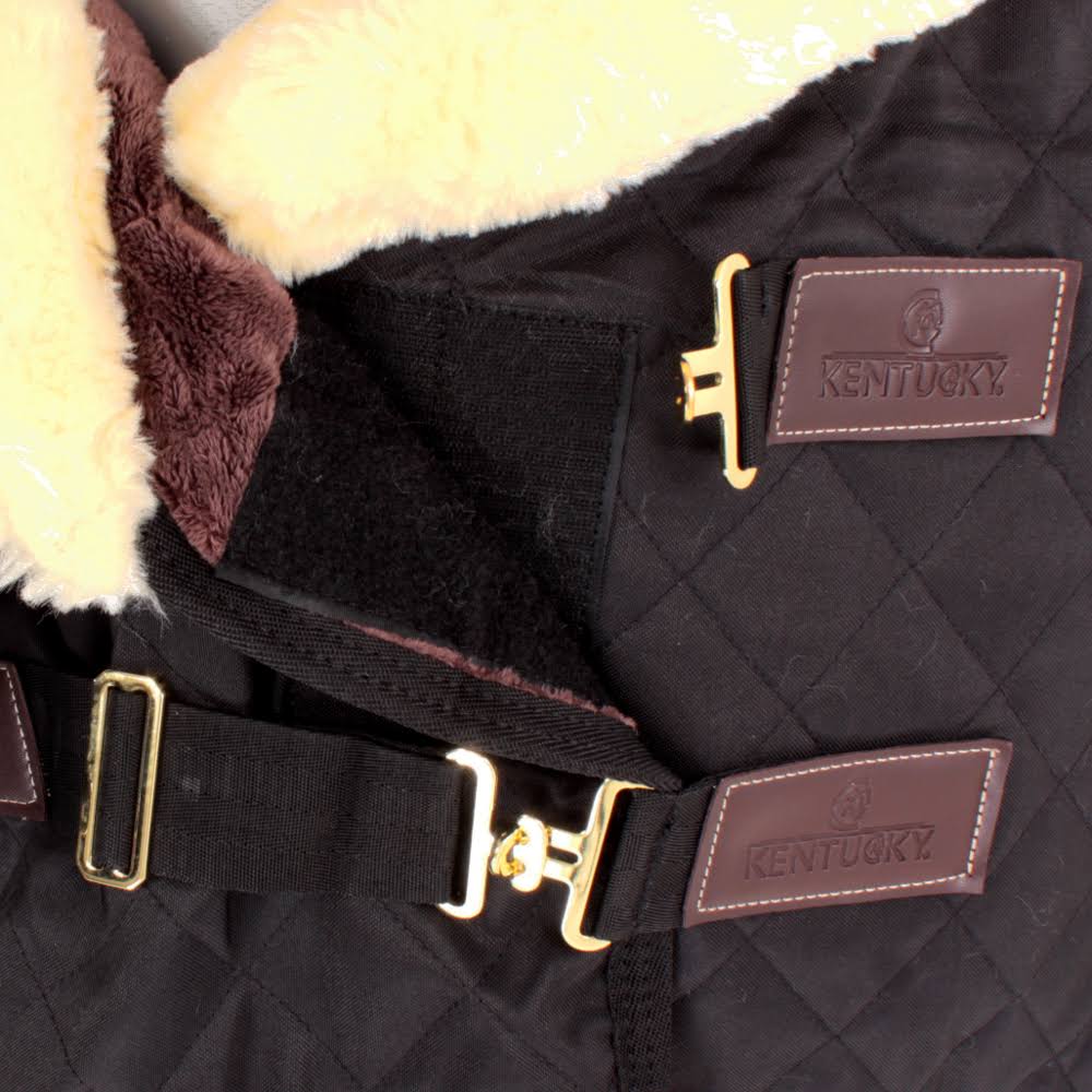 Kentucky Horsewear Show Rug E2CVAUOD_ICQMV