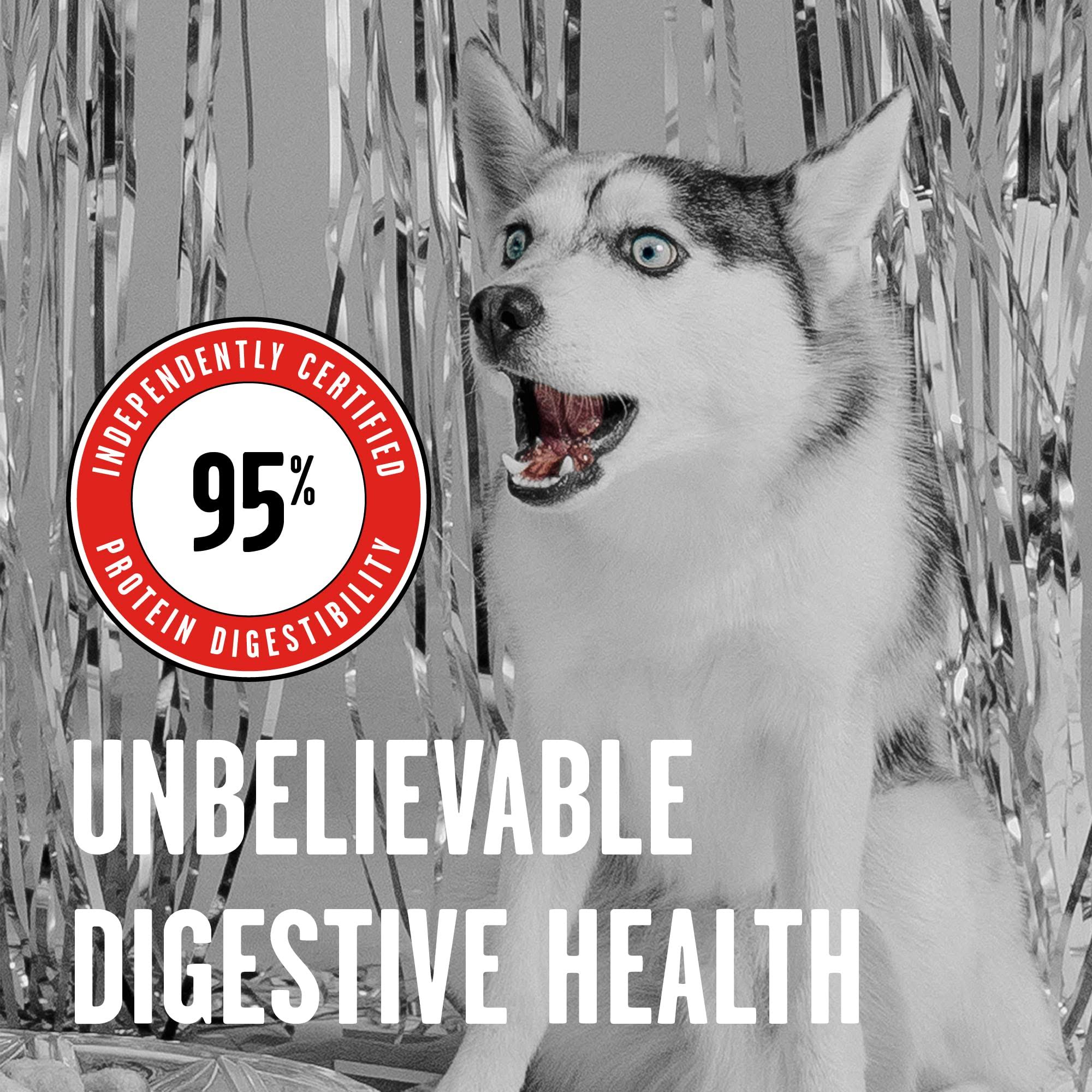 Rawbble Freeze Dried Dog Food Beef / 4.5 N5J4N8MM_PEKCL