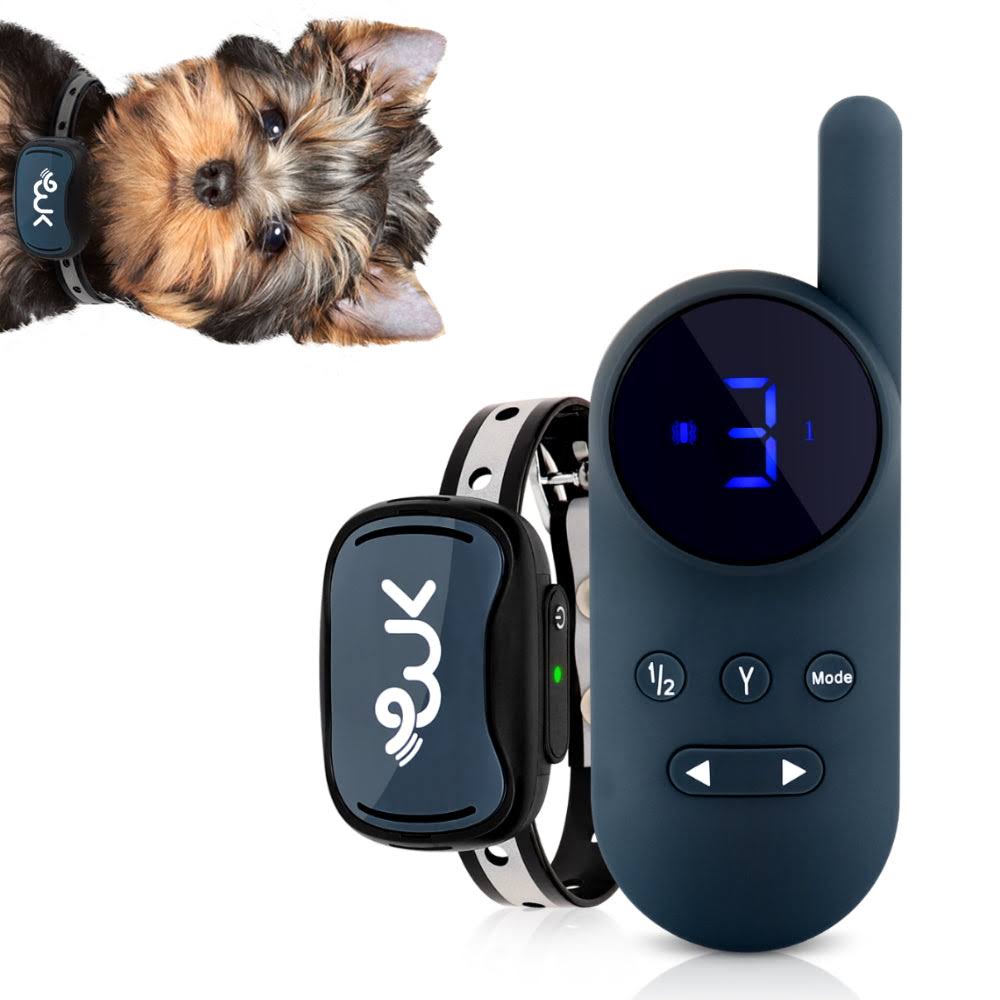 Exuby Smallest Collar In The World Charcoal CXZ4GOH8_CUYRP