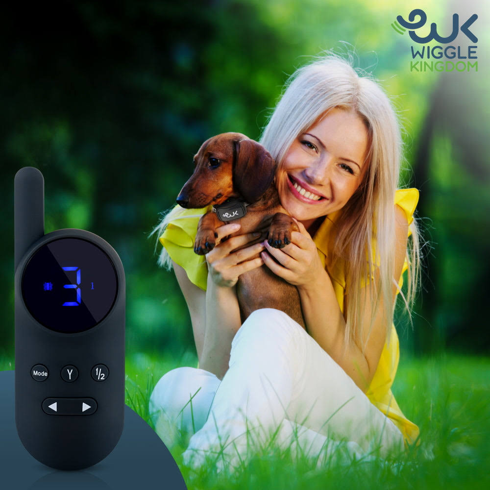 Exuby Smallest Collar In The World Charcoal CXZ4GOH8_CUYRP