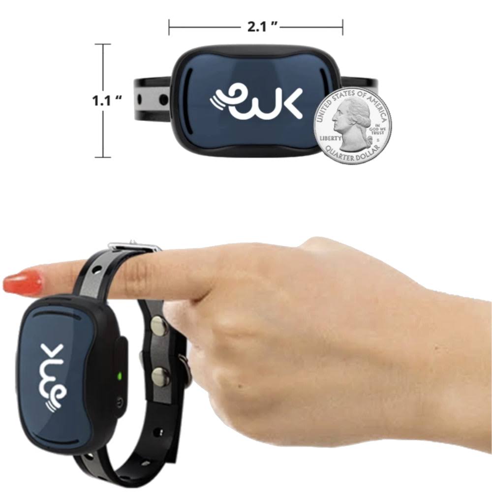Exuby Smallest Collar In The World Charcoal CXZ4GOH8_CUYRP