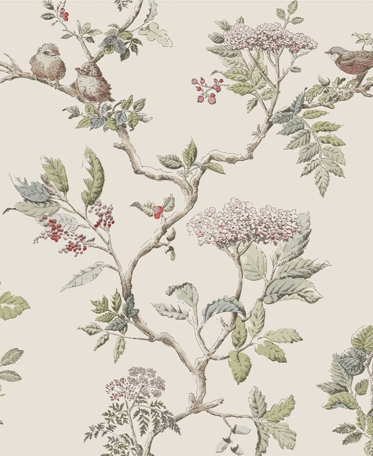 Laura Ashley Elderwood Natural 9HOKUPH6_ZM2YU