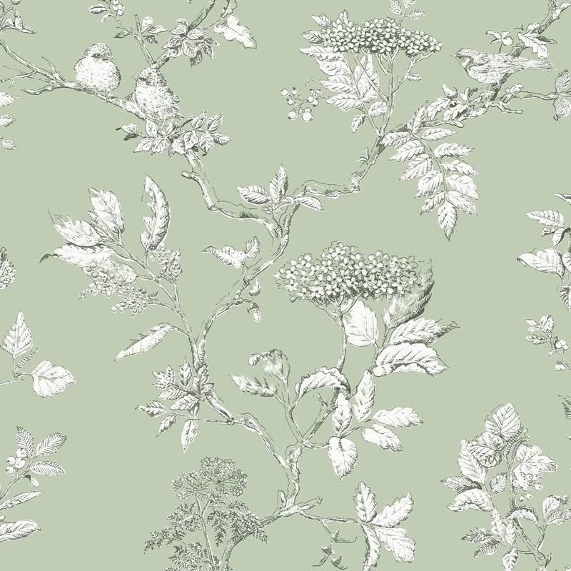 Laura Ashley Elderwood Natural 9HOKUPH6_ZM2YU