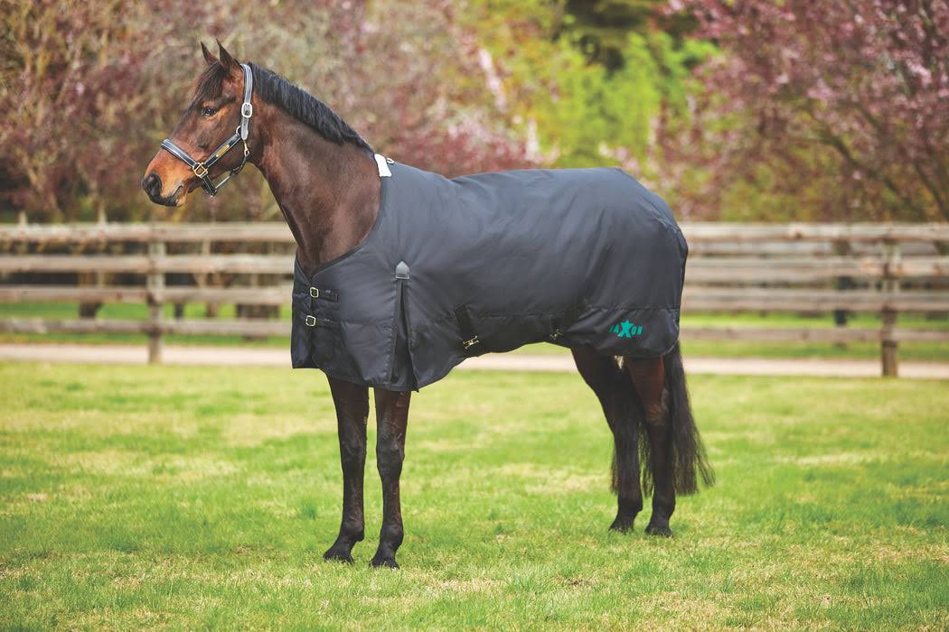 Saxon 1200d With Gusset Standard Neck Medium Ii Hunter/Black SVMENETY_L9DMP