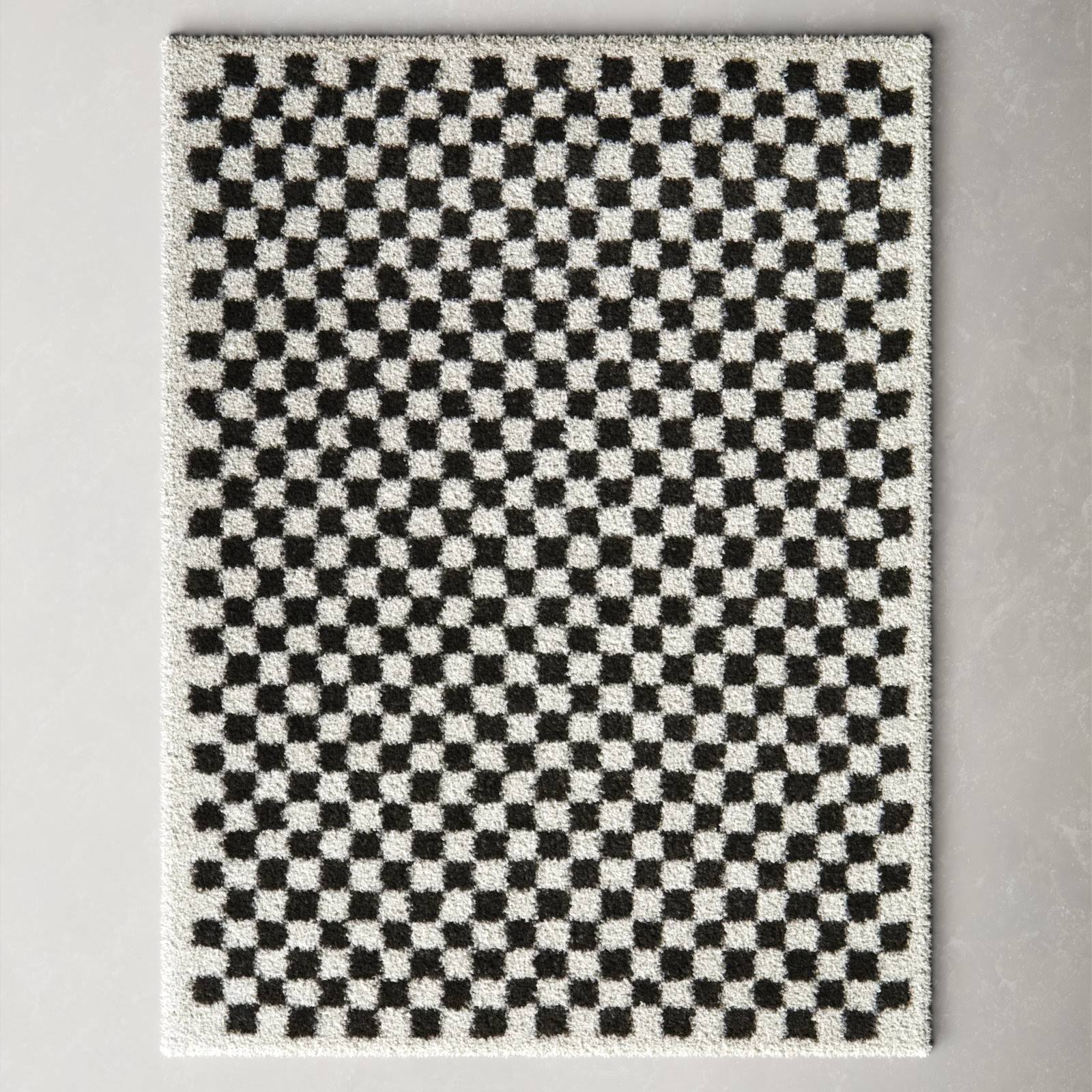 Walker Checkered Charcoal/Cream Shag Area Rug Allmodern Rug Size: Rectangle 5'3 X 7' CO01DSBZ_VXD3D