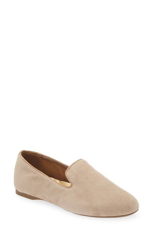 Birdies Starling Flat In Latte Suede At Nordstrom, Size 8VNEVEU5_KHLNW