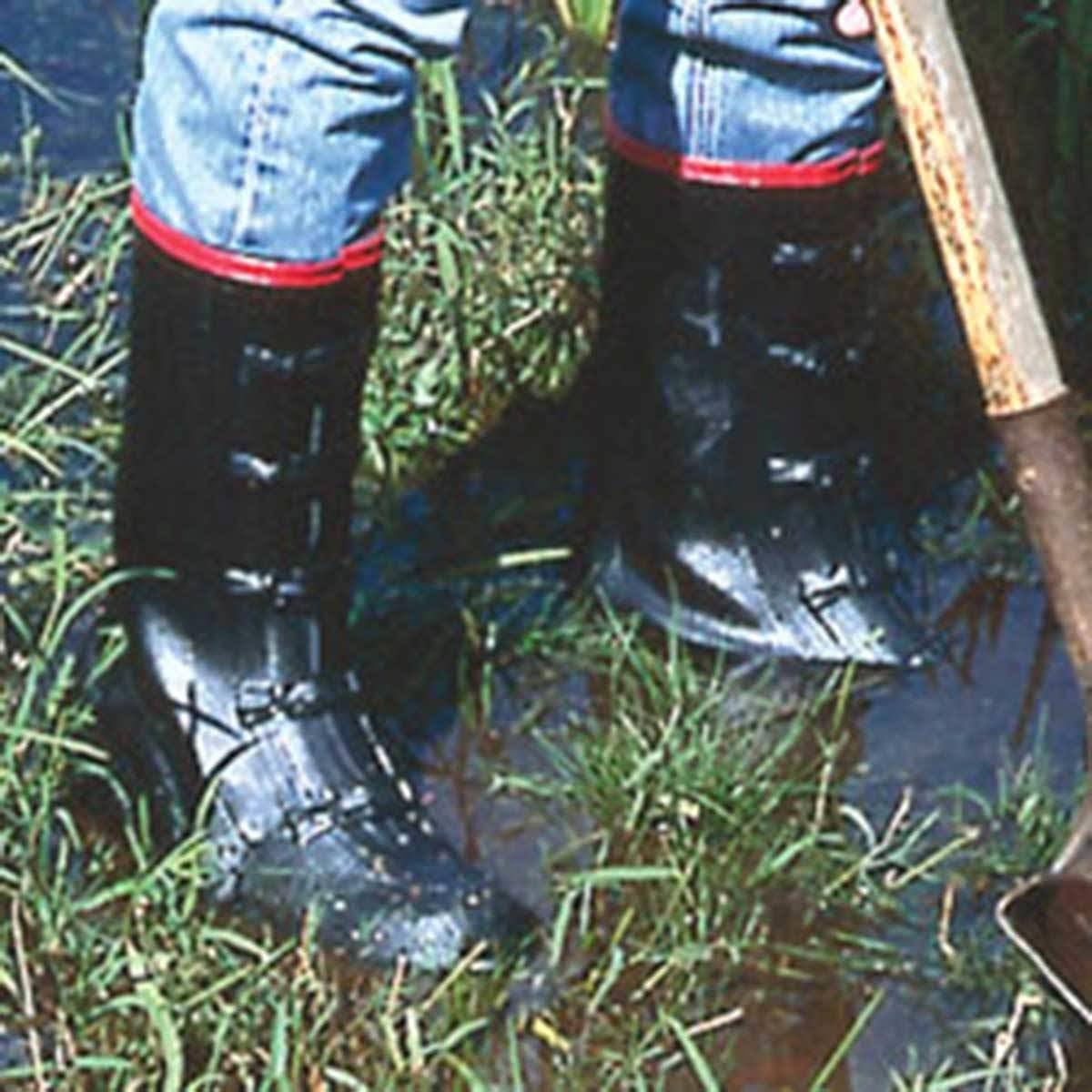 Black 5-Buckle Overboot XXGDCSEZ_QUN0V