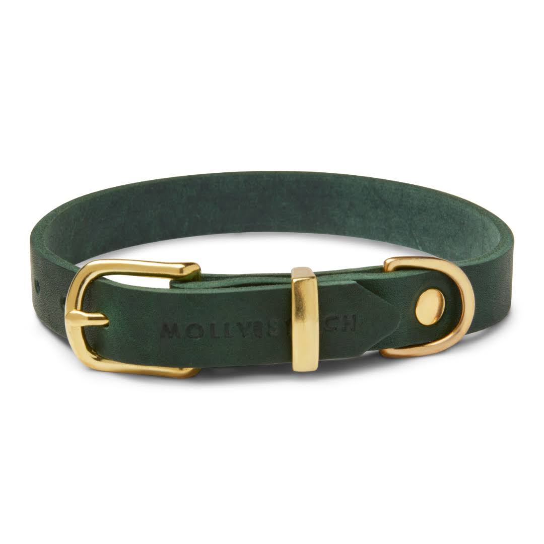 Molly And Stitch Us | Butter Leather Dog Collar - Forest Green, Brass / F388MO6O_CEGE1
