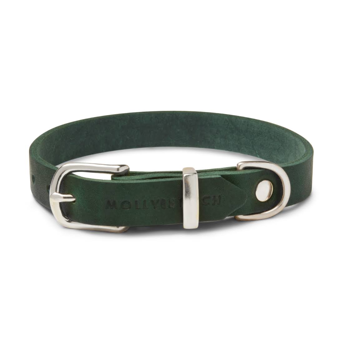 Molly And Stitch Us | Butter Leather Dog Collar - Forest Green, Brass / F388MO6O_CEGE1