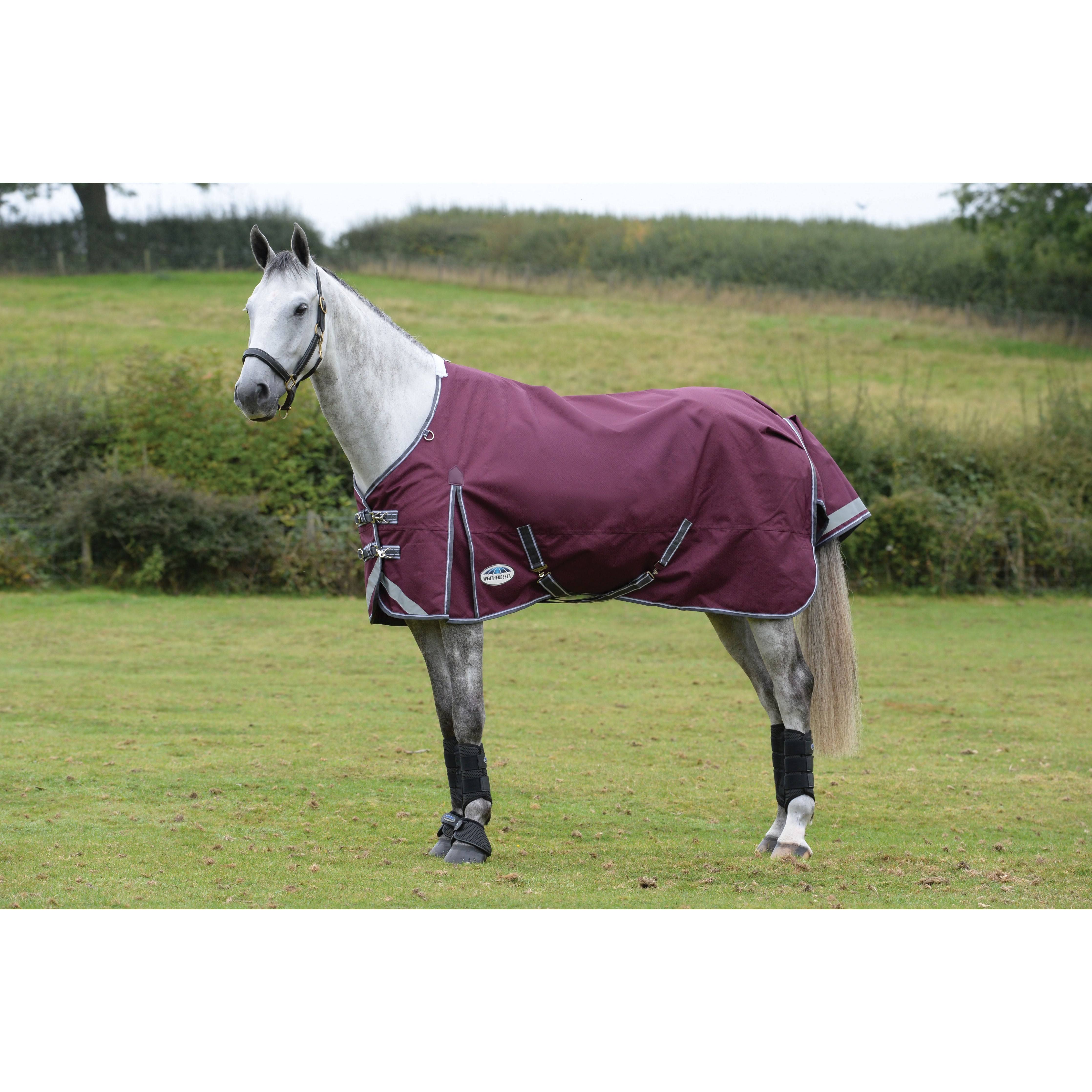 Weatherbeeta Comfitec Plus Dynamic Ii Standard Neck Lite - Maroon/Grey/TJ9FQ5LP_LADZ2