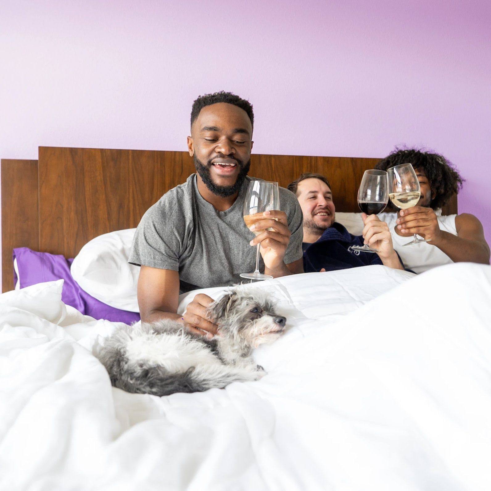 Sheets & Giggles Eucalyptus Lyocell Comforter - Queen, HBMLSANO_YVOOH