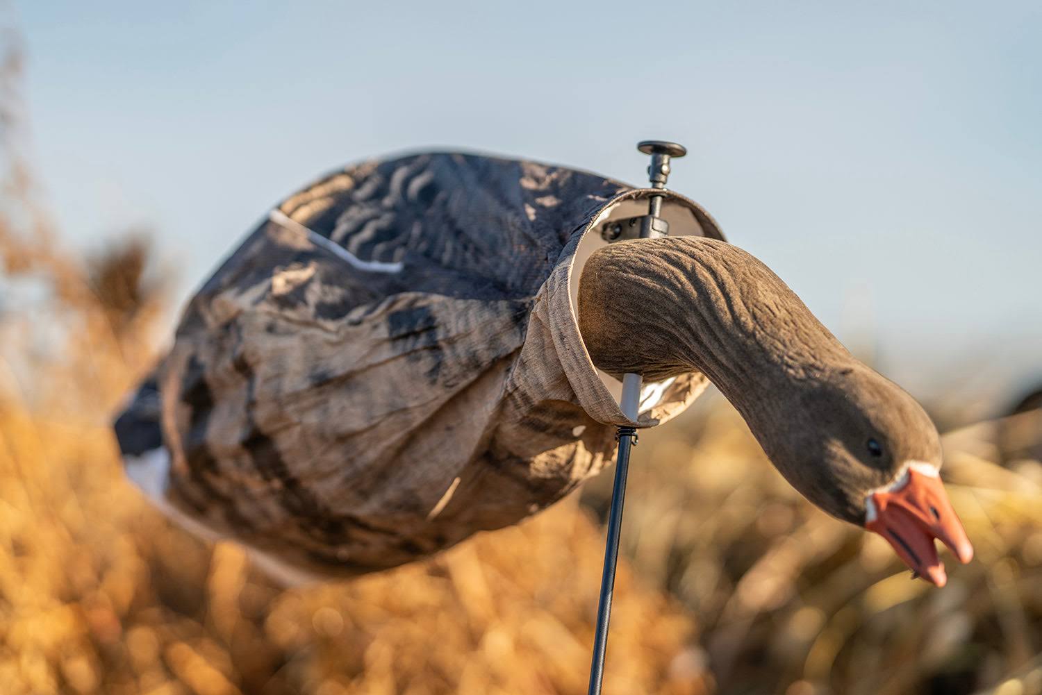 Tanglefree Slammer Socks Specklebelly Goose Decoy Pack Of SRWKB3PV_FHAKQ