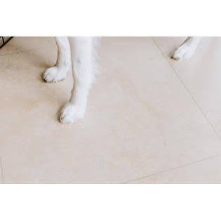 G-Floor Clear 5 Ft. X 10 Ft. Ceramic Pet Floor FPAFIWIZ_NQ8A5