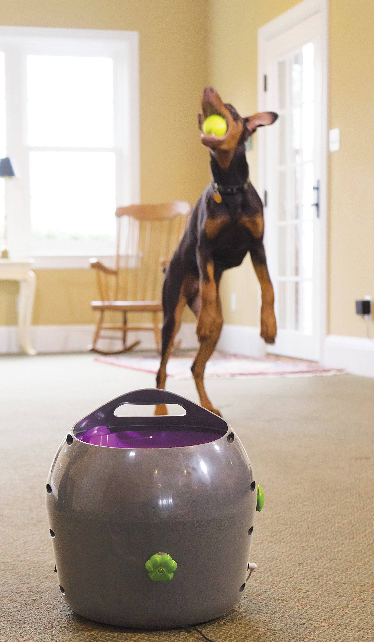 Petsafe - Automatic Ball VL8DNR4G_F9BEN