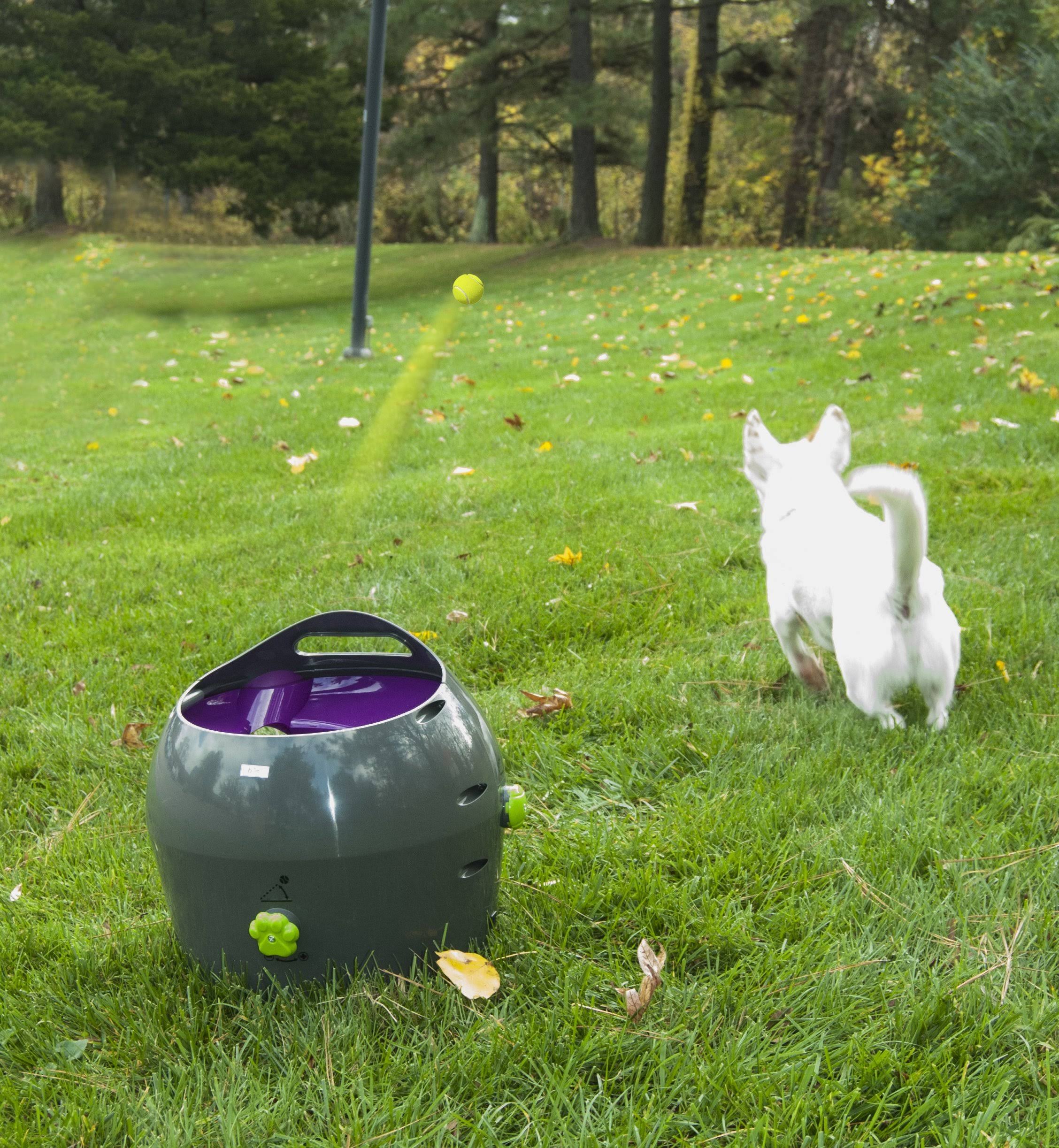 Petsafe - Automatic Ball VL8DNR4G_F9BEN