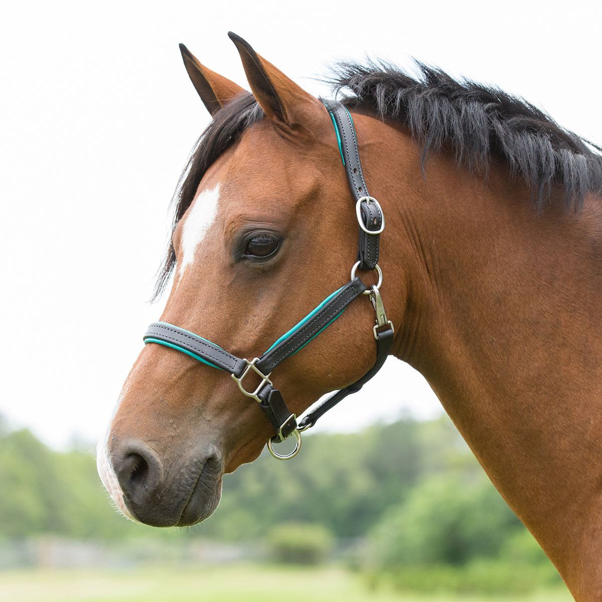 Smartpak Soft Padded Leather Pony/Mini Halter - Mini - Havana/Pink - BM56B8A8_ITUNO