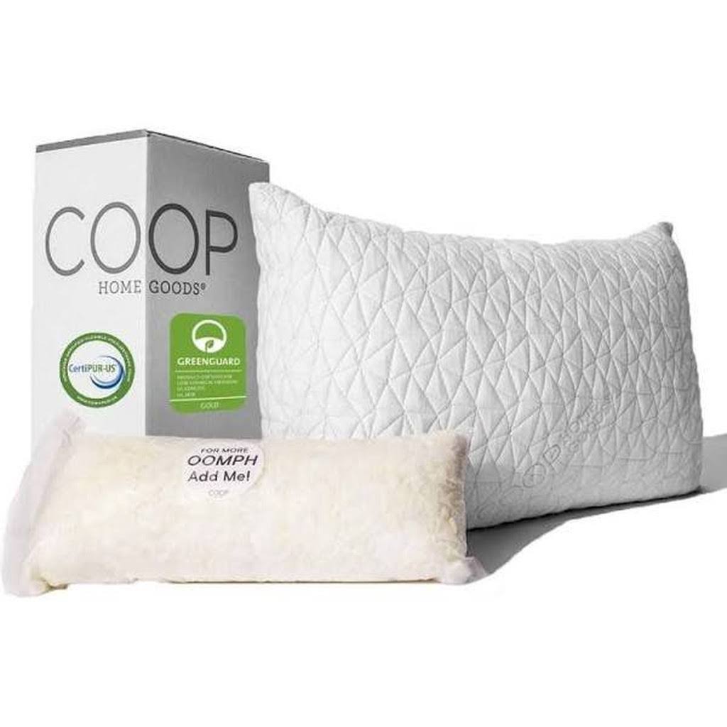 Original Coop Home Goods Pillow Queen (20 In X 30 In) YABGFTVN_V5ZRH