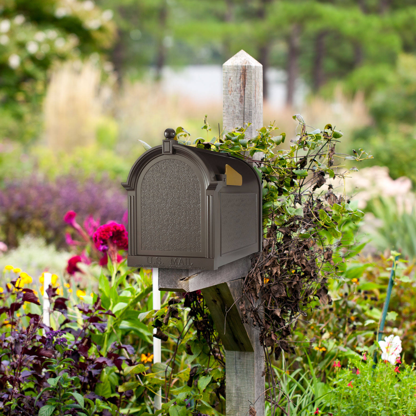 Whitehall Capital Mailbox - TYWTL2RR_NZFJU